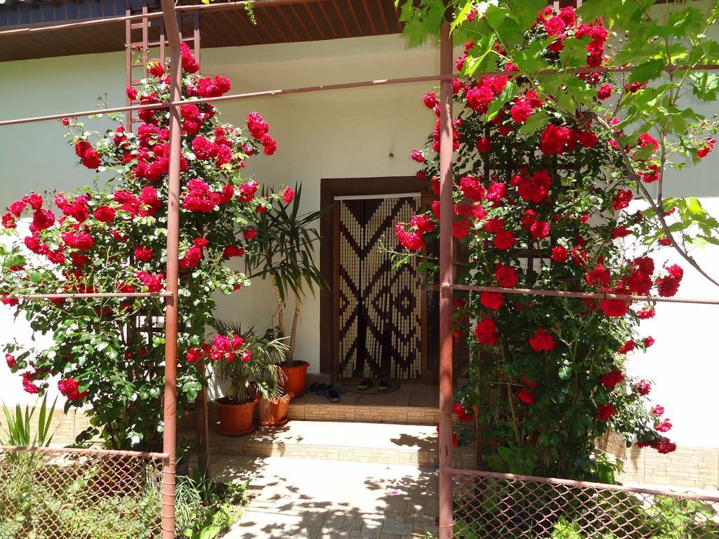 فندق Casa Ghemus كوستِنيست المظهر الخارجي الصورة