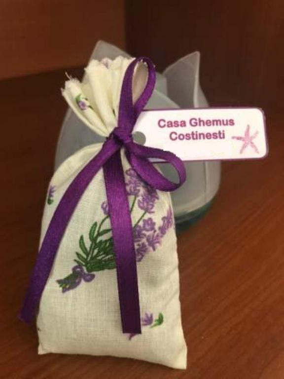 فندق Casa Ghemus كوستِنيست المظهر الخارجي الصورة